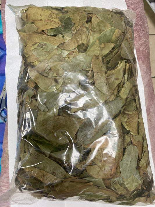 500g Soursop leaves